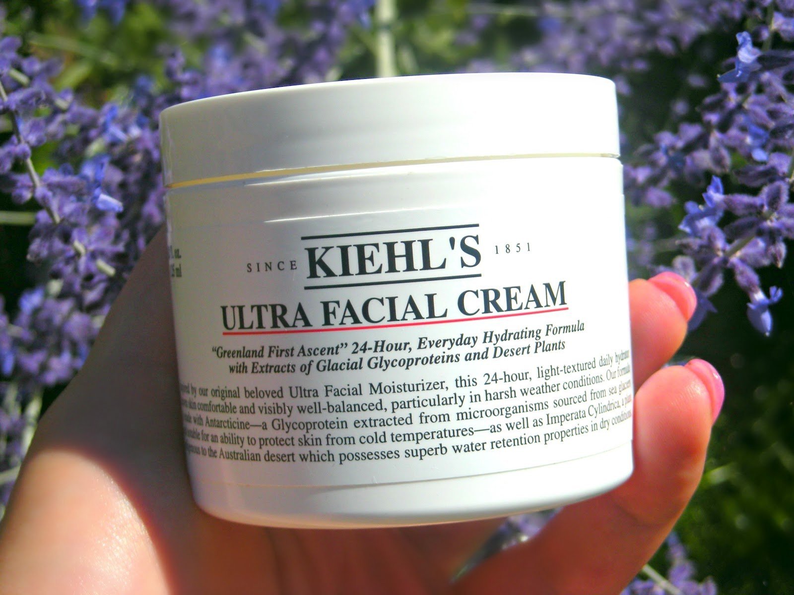 Kiehl’s Ultra Facial Cream 3